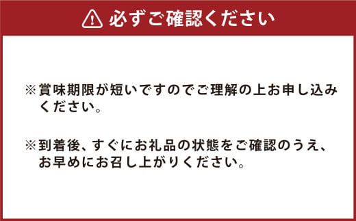 からし蓮根3本入りセット