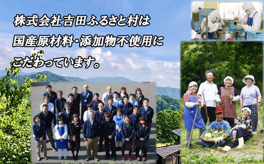 吉田ふるさと村 焼肉のたれ(中辛、甘口) 各３本セット【島根県 雲南市 吉田町 やきにく 唐辛子 とうがらし よしだむら 】