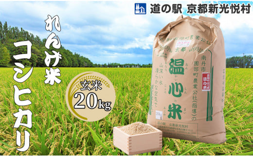 【新米】【道の駅 京都新光悦村】れんげ米コシヒカリ「玄米」20kg[髙島屋選定品］039N537 