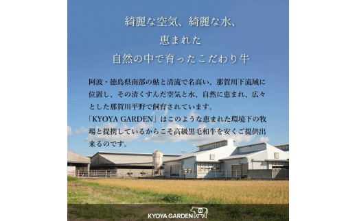 阿波牛サーロインステーキ　約400ｇ（約200ｇ×2）A5等級