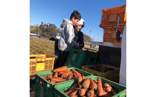 ≪先行予約≫妙義山の麓 にんじん 2kg 生鮮食品 野菜 人参 ニンジン 有機肥料 甘い 煮物 かき揚げ 旬 お取り寄せ 群馬県 富岡市 F21E-195