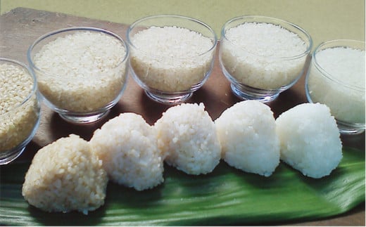 【3分づき米】【全6回定期便】 ヒノヒカリ 5kg 福吉産 お米 栽培期間農薬不使用 《糸島》【二丈赤米産直センター】[ABB012-4]