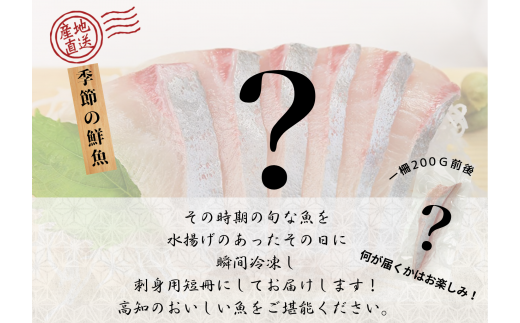 【四国一小さなまち】 ≪カネアリ水産≫ 魚屋チョイス ！ 豪華なお刺身用短冊セット