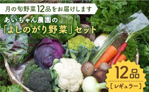 【12品】農薬に頼らない！カラダにやさしい「よしのがり野菜」セット（レギュラー）吉野ヶ里町/吉野ヶ里あいちゃん農園 [FAA005]