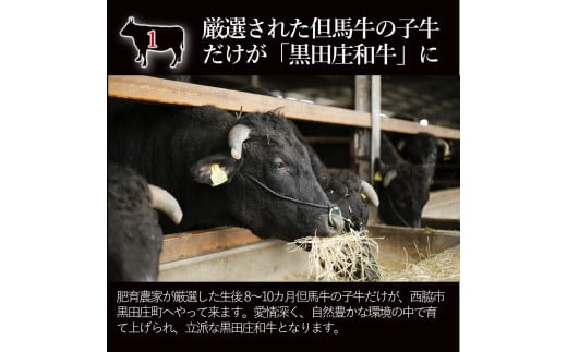 【神戸ビーフ素牛】特選 黒田庄和牛（焼肉用ロース、850g）(50-4) 肉 お肉 牛肉 焼肉 焼き肉 赤身 モモ肉 BBQ 便利 神戸ビーフ 神戸牛 黒田庄和牛 高級黒毛和牛