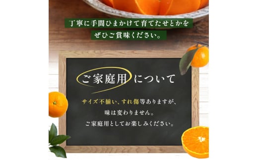 ＜【訳あり】 玉やま農園直送 せとか 家庭用 約5kg ＞ 数量限定 期間限定 5キロ みかん ミカン 蜜柑 柑橘類 フルーツ 果物 果実 くだもの 特産品 甘い ジューシー 旬 ご自宅用 訳アリ 愛媛県 西予市 【常温】