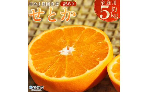 ＜【訳あり】 玉やま農園直送 せとか 家庭用 約5kg ＞ 数量限定 期間限定 5キロ みかん ミカン 蜜柑 柑橘類 フルーツ 果物 果実 くだもの 特産品 甘い ジューシー 旬 ご自宅用 訳アリ 愛媛県 西予市 【常温】