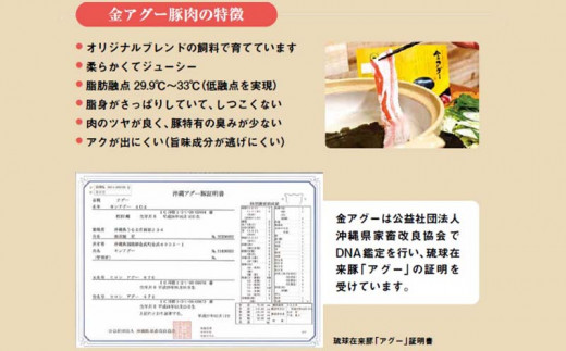 金アグー　こだわりのハンバーグ・肉餃子・ソーセージ3種セット