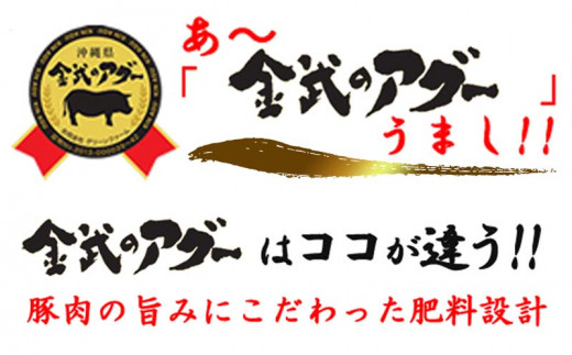 金アグー　こだわりのハンバーグ・肉餃子・ソーセージ3種セット