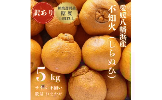 みかんの大トロ/糖度12.0以上酸1.4以下 糖酸選別品 訳あり 愛媛 みかんの大トロ/糖度12.0以上酸1.4以下 糖酸選別品 訳あり 愛媛