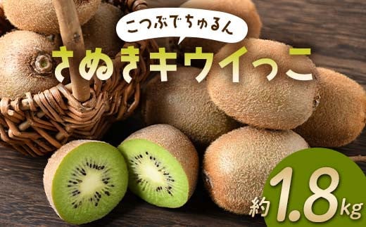 【旬な時期にお届けします！11月下旬～12月中旬 】 こつぶでちゅるん さぬきキウイっこ 約1.8kg 糖度 17～20度 一口サイズ 香川 四国 フルーツ 果物 くだもの キウイ キュウイ 果実 フルーツ 旬  香川県 香川県共通返礼品 F5J-544