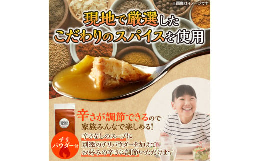 【50セット限定でナン2食分プレゼント】とろとろポークのスープカレー2食セット