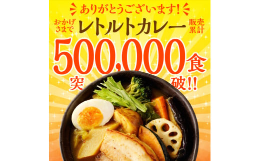 【50セット限定でナン2食分プレゼント】とろとろポークのスープカレー2食セット