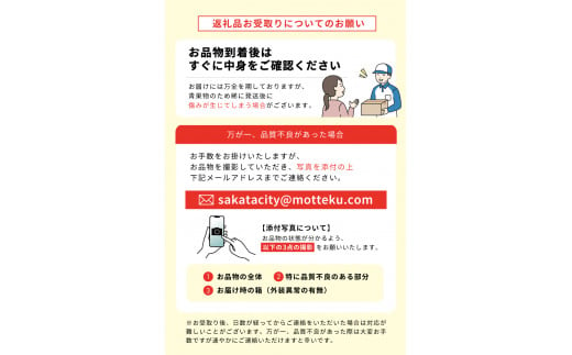 SE0337　【3回定期便】酒田から秋のフルーツ定期便2025 (刈屋梨、庄内柿、ラ・フランス)