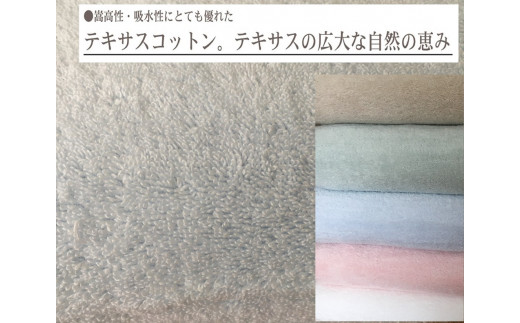 TEXSAS COTTON 100% タオルケット シングル ブルー 1枚 SNT-20TXBL｜綿100% 厚手 毛布 速乾 軽量 快眠 快適 熟睡 睡眠 洗える 洗濯可能 丸洗い可能  [3229]