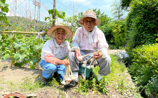 ＜栽培期間中農薬・化学肥料不使用＞半年芽が出ない三浦さんちのにんにく 800g【1301838】