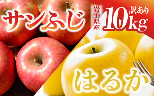 【先行予約】 りんご サンふじ×はるか 訳あり 10kg 岩手県 金ケ崎町産 12月上旬発送予定