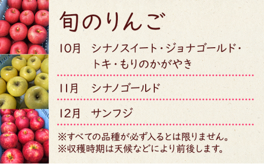 【10月11月12月発送】盛岡市産 田村ふぁーむ 家庭用りんご3kg 定期便3回発送コース