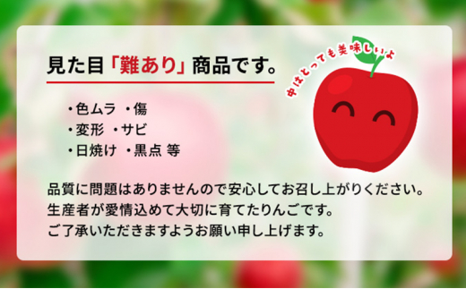 【10月11月12月発送】盛岡市産 田村ふぁーむ 家庭用りんご3kg 定期便3回発送コース