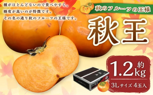 福岡県ブランド柿「秋王」約1.2kg 3Lサイズ 4玉入り【2024年10月下旬～11月下旬発送予定】