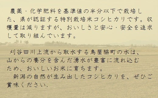 米 定期便 （10kg×4か月） 合計40kg 新潟県産 コシヒカリ 特別栽培米 令和6年産 「鳥屋脇町生産組合コシヒカリ」 精米したてをお届け 新潟のど真ん中見附市 こしひかり 県認証米