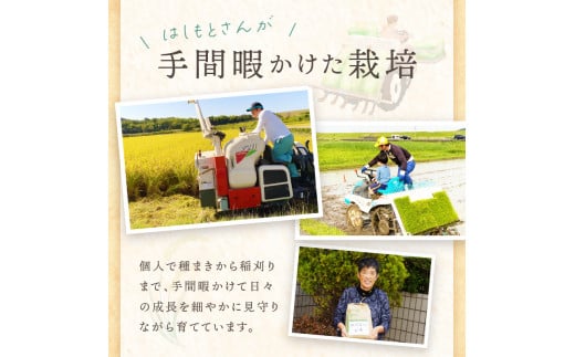 【令和6年産 2024年11月より順次発送】はしもとさんちのお米(10kg)《米 ヒノヒカリ ひのひかり おこめ 国産 送料無料 》【2401B14304】