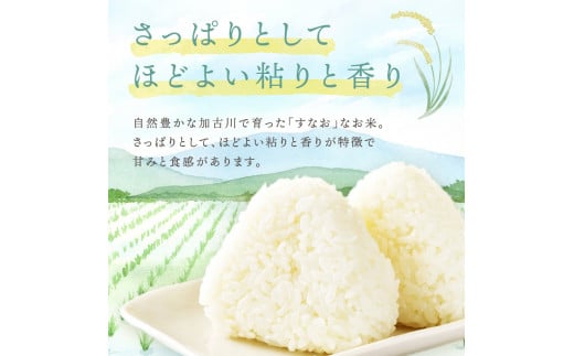 【令和6年産 2024年11月より順次発送】はしもとさんちのお米(10kg)《米 ヒノヒカリ ひのひかり おこめ 国産 送料無料 》【2401B14304】