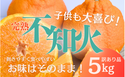 たにぐち農園の完熟不知火 ご家庭用 ちょこっと訳あり 5kg【2025年2月中旬から3月下旬までに順次発送】 / くだもの フルーツ 果物 わけあり 訳あり 家庭用 ご家庭用 不知火 みかん 蜜柑 デコポン