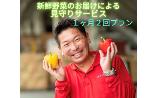 お野菜イメージ