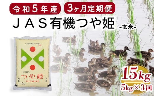 【3ヶ月定期便 / 玄米】 JAS有機 つや姫 5kg×3回 計15kg 有機肥料100% 無農薬 2023年産 農家直送 ブランド米 [065R5-004-02]