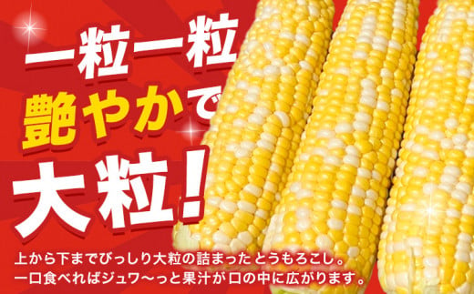 朝採り とうもろこし ビーナスコーン スイートコーン 10本 《8月上旬-8月末頃出荷予定》山下農場 バイカラー 大粒 コーン トウモロコシ 送料無料 北海道 本別町北海道 十勝 本別町産 冷蔵便 甘い