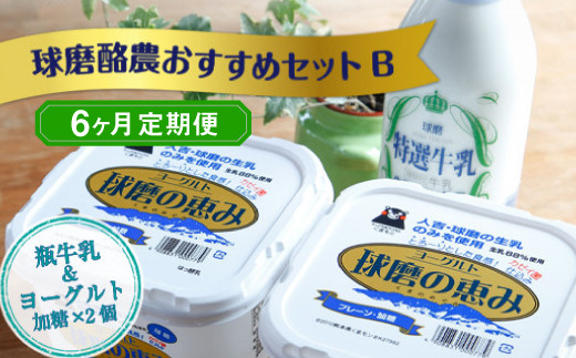 球磨酪農おすすめセットB（瓶牛乳&ヨーグルト加糖×2個）