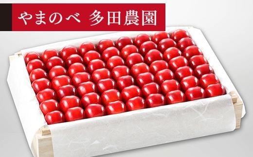 【特選紅秀峰】桐箱詰 約1,100g【やまのべ多田耕太郎のさくらんぼ 多田農園】