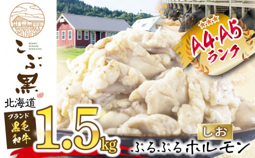 北海道産 黒毛和牛 こぶ黒  しお ホルモン 計 1.5kg ( 300g × 5パック )  黒毛和牛 和牛 ぷるぷる 和牛 塩 ホルモン もつ モツ 