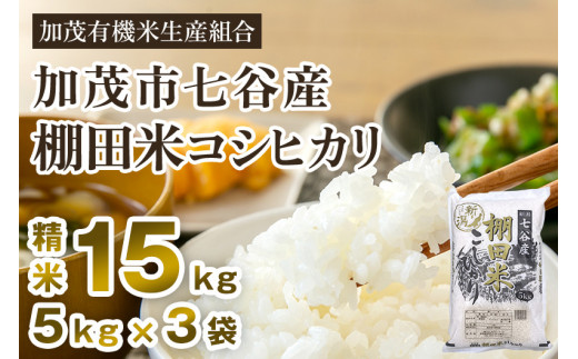 【令和6年産新米先行予約】新潟県加茂市 七谷産 棚田米コシヒカリ 精米15kg（5kg×3）白米 加茂有機米生産組合