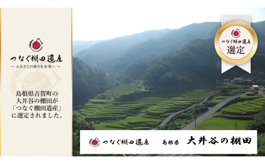 ＜令和6年9月下旬より順次発送＞令和6年産　棚田米コシヒカリ精米5kg【1259299】