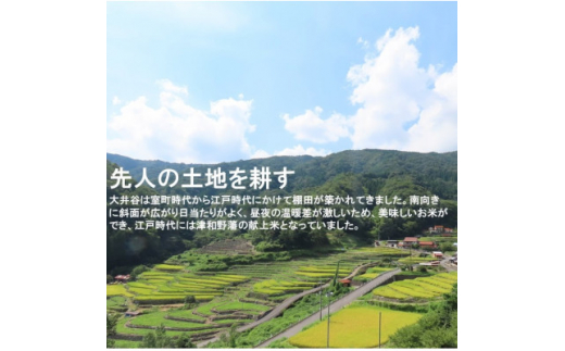 ＜令和6年9月下旬より順次発送＞令和6年産　棚田米コシヒカリ精米5kg【1259299】