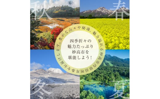 新潟県妙高市内宿泊利用券10,000円分2枚