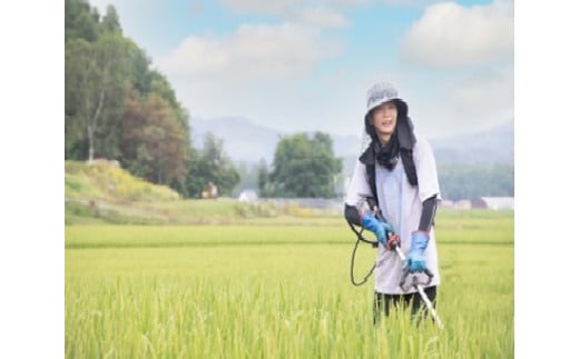 A211 　【 令和6年産 】 ゆめぴりか （ 白米 ） 特Aランク 真空パック  10㎏ 北海道 鷹栖町 SANOSUKE FARM＠たかす 特別栽培 米 コメ こめ ご飯 白米 お米 ゆめぴりか コメ 白米