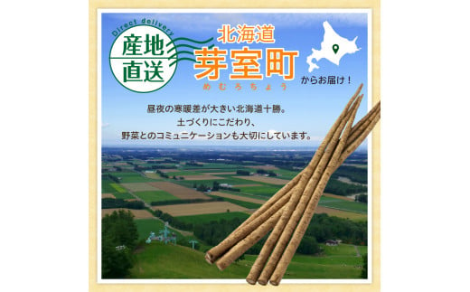 【先行受付】【2025年5月中旬より順次発送】北海道十勝芽室町 なまら十勝野 芽室町産 春掘り美肌ごぼう【ユキシズク】L2kg me001-034c