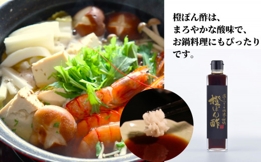 調味料 詰め合わせ 3本 セット 醤油 ぽん酢 すだちぽん酢 橙ぽん酢 肉料理 刺し身 サラダ しゃぶしゃぶ 餃子 鍋 大豆 国産 徳島産 贈答 ギフト プレゼント お歳暮