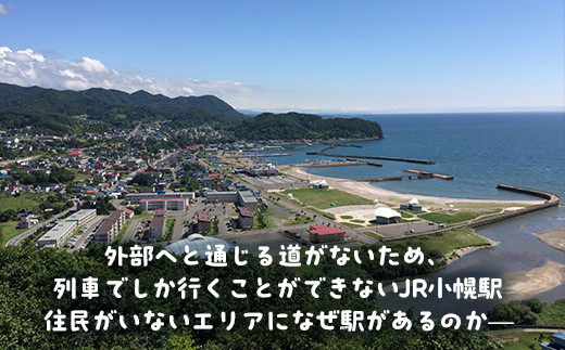 小幌駅周辺散策ツアー（3人用）  ふるさと納税 人気 おすすめ ランキング 体験 イベント 小幌駅 散策 ガイド 歴史 見学 3人 北海道 豊浦町 送料無料  TYUL027