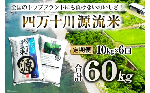 全6回 定期便 米 四万十川源流米・精米 10kg×6回 計60kg [JA高知県高西営農経済センター津野山経済課 高知県 津野町 26ah0010] お米 こめ おこめ 定期 毎月