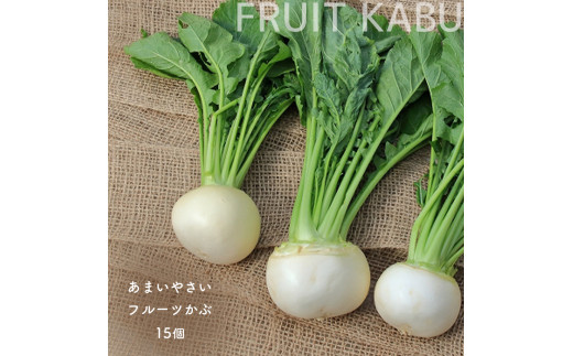 生でおいしい フルーツかぶ 15個  ｜ 野菜 冬野菜 かぶ 蕪 根菜 生野菜 生鮮野菜 サラダ 加熱 ソテー 付け合わせ 特産品 山口 美祢市 美祢 季節 季節限定