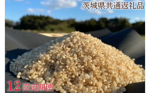 【12ヶ月定期便】【栽培期間農薬不使用】マキタ超こしひかり 玄米5kg×12回【茨城県共通返礼品・行方市産】【おいしい お米 マキタ 減農薬 安心  鹿嶋市】（KBE-45）