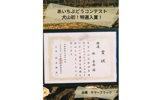 「あいちのぶどうコンテスト」で特選入賞した農家の作るぶどうです。