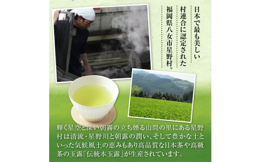 【定期便】奥八女星野村 深蒸し高級煎茶(深蒸し茶)1袋[100g]　6回コース　BX008