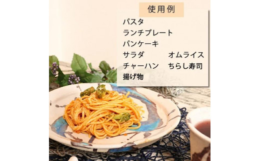 信楽焼 碧水パスタ皿 ワンプレート皿