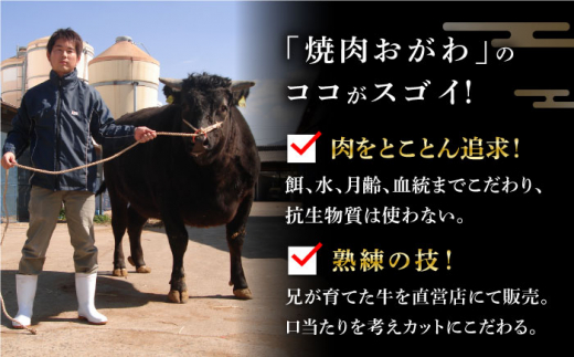 【12回定期便】 長崎和牛 A5ランク 特選ロース 極厚 焼肉 700g《小値賀町》【株式会社 OGAWA】 [DBJ014] 肉 和牛 黒毛和牛 A5 ロース 肉厚 焼き肉 焼肉用 贅沢 