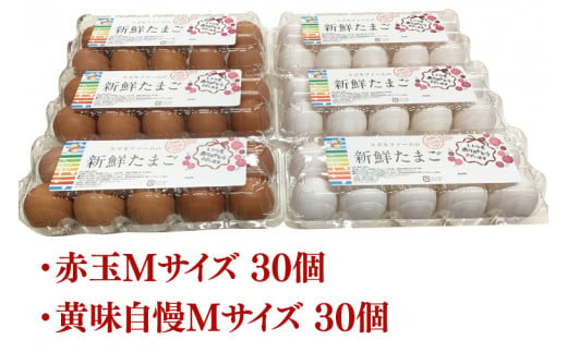 【数量限定】赤玉・黄味自慢 たまご詰め合わせ60個【卵 玉子 タマゴ 新鮮 タンパク質 目玉焼き 茨城県 水戸市】（LB-1）